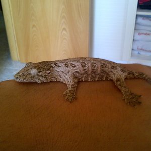 Sant Quirze del Vallès-20110711-00108.jpg