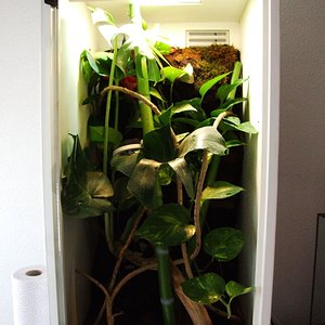 DSCF2770 (FILEminimizer).JPG