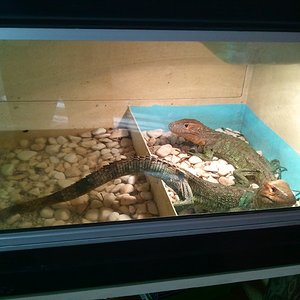 2012-04-22 18.04.43.jpg