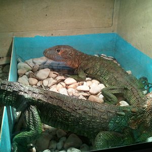 2012-04-22 18.05.09.jpg