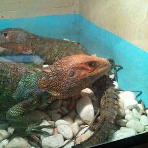 2012-04-22 18.05.15.jpg