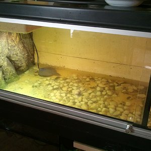 2012-04-22 18.04.49.jpg