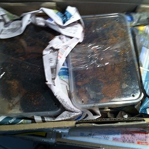 Foto 08-05-12 13 09 51.jpg