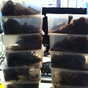 Foto 08-05-12 13 12 34.jpg