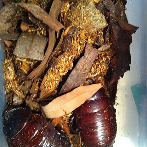 Foto 08-05-12 13 16 45.jpg