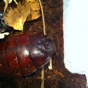 Foto 08-05-12 13 19 35.jpg