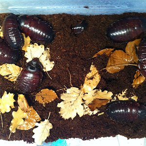 Foto 08-05-12 13 26 33.jpg