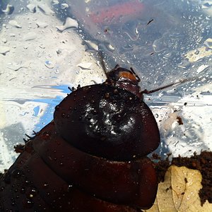 Foto 08-05-12 13 28 41.jpg