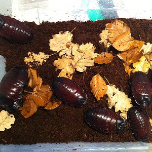 Foto 08-05-12 13 30 26.jpg