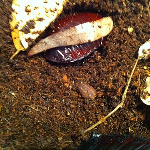 Foto 08-05-12 13 34 37.jpg