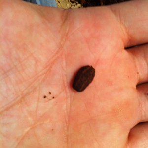 Foto 08-05-12 13 34 55.jpg