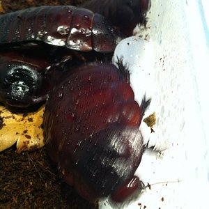 Foto 08-05-12 13 41 32.jpg