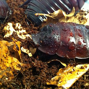 Foto 08-05-12 13 43 07.jpg