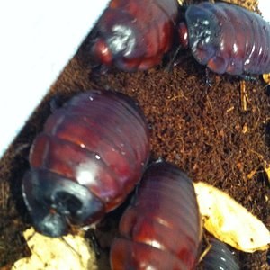 Foto 08-05-12 13 43 28.jpg