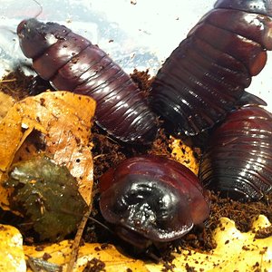 Foto 08-05-12 13 43 52.jpg