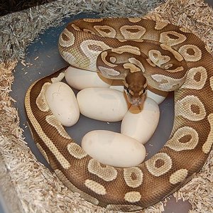 Mojave 13-7-12 (3),,.jpg