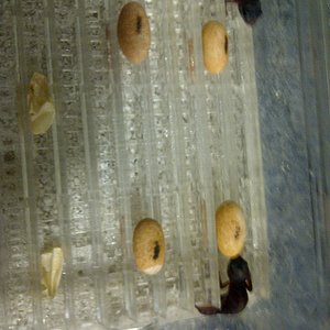 IMG-20120725-00209 (2).jpg