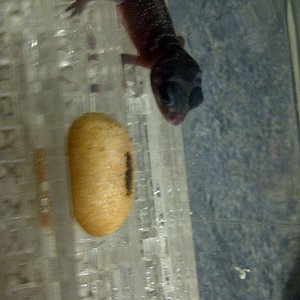 IMG-20120725-00210 (2).jpg