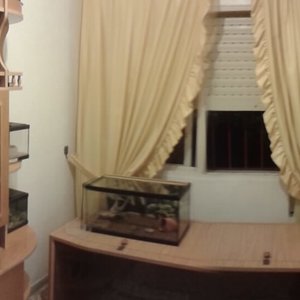 2012-07-26 03.34.04.jpg