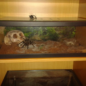 2012-07-26 03.36.21.jpg