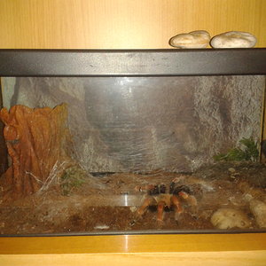 2012-07-26 03.36.50.jpg