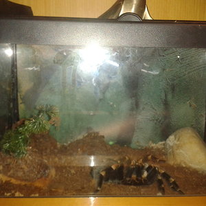 2012-07-26 03.37.08.jpg