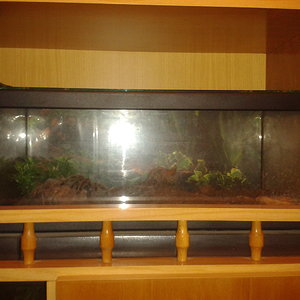 2012-07-26 03.37.48.jpg