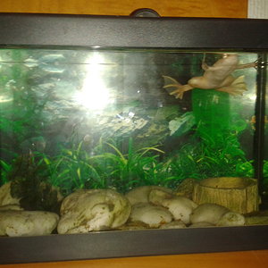 2012-07-26 03.38.11.jpg