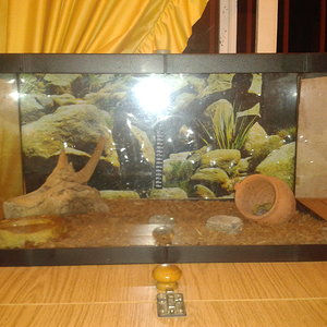 2012-07-26 03.38.33.jpg