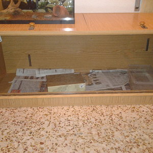 2012-07-26 03.39.08.jpg