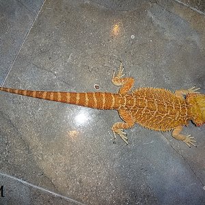 09-08-2012 (3) KPM.jpg