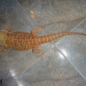 09-08-2012 (4) KPM.jpg