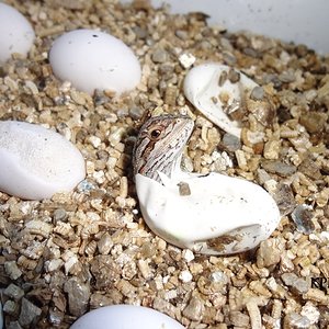 02-07-2012 (9) KPM.jpg