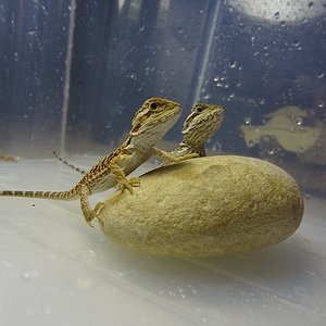 05-08-2012 (5) KPM.jpg