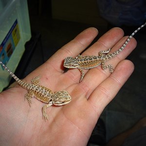 18-07-12 (1) KPM.jpg