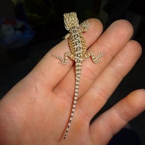 13-07-12 (5) KPM.jpg