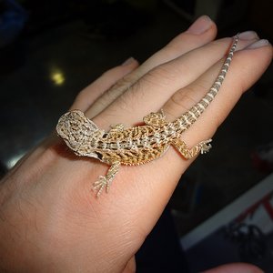 13-07-12 (4) KPM.jpg