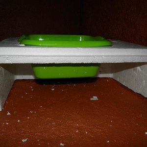 terrario hierros 30.jpg