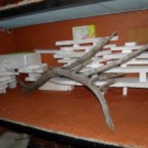 terrario hierros 33.jpg