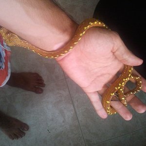 2012-07-17 17.40.32.jpg