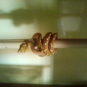 2012-08-19 13.57.25.jpg