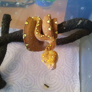 2012-08-05 13.33.56.jpg