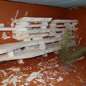 terrario hierros 47.jpg