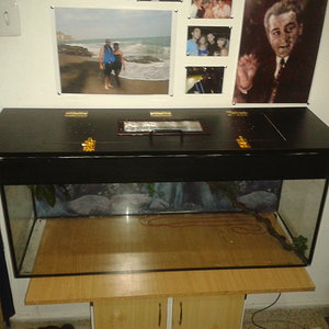 2012-09-09 22.33.44.jpg