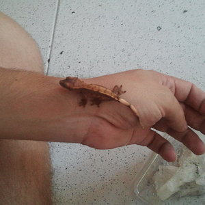 2012-09-22 19.50.32.jpg