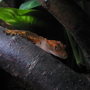 2012-09-22 08.25.44.jpg