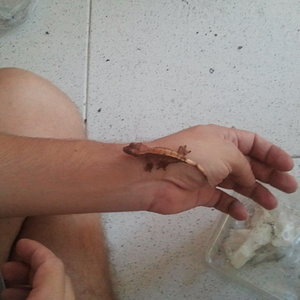 2012-09-22 19.50.23.jpg