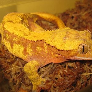 fotos adela 049 (640x480).jpg