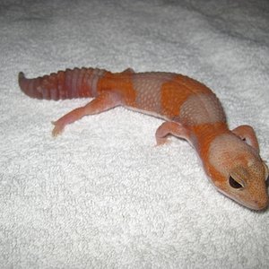 IMG_5851 (640x480).jpg