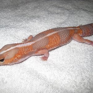 IMG_5846 (640x480).jpg